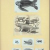 Scrap Book, Volume 6, p.22