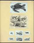 Scrap Book, Volume 6, p.22