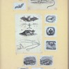 Scrap Book, Volume 6, p.23