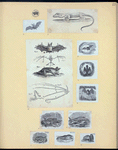 Scrap Book, Volume 6, p.23