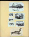 Scrap Book, Volume 6, p.24