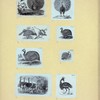 Scrap Book, Volume 6, p.80