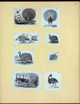 Scrap Book, Volume 6, p.80