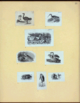 Scrap Book, Volume 6, p.82