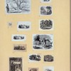 Scrap Book, Volume 8, p.42