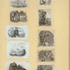 Scrap Book, Volume 8, p.48