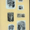 Scrap Book, Volume 9, p.7