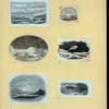 Scrap Book, Volume 9, p.9
