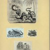 Scrap Book, Volume 9, p.37