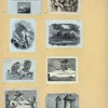 Scrap Book, Volume 9, p.61
