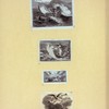 Scrap Book, Volume 11, p.80