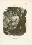 Volume 1, p.11