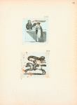 Volume 1, p.29