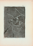 Volume 2, p.10