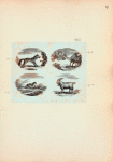 Volume 2, p.19