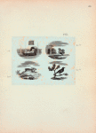 Volume 2, p.20