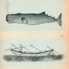 Volume 2, p.38