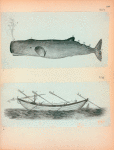 Volume 2, p.38