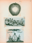 Volume 3, p.32
