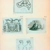 Volume 3, p.37