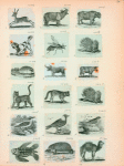 Volume 3, p.39