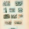 Volume 3, p.40