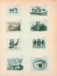 Volume 3, p.41