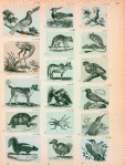 Volume 3, p.43