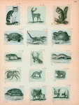 Volume 3, p.46