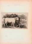 Volume 4, p.1