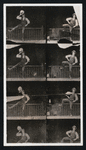 Cinema - - Beginnings