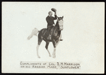 Circus: Equestrians
