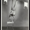 Circus: Equilibrists