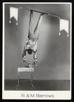 Circus: Equilibrists