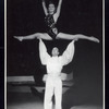 Circus: Equilibrists