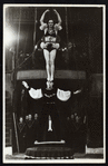 Circus: Equilibrists