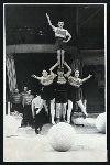 Circus: Equilibrists