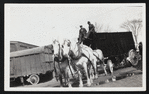 Circus -- Wagons