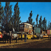 Circus -- Wagons