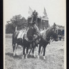 Cook and Wilson Circus