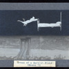 Dream of a Rarebit Fiend (cinema 1906)