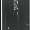 The Duchess of Malfi, by J. Webster