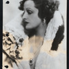 Andra Fern