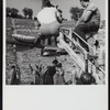 Greece: The Golden Age (tele 1963)