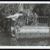 Harry Houdini about to dive into a pool at the Ralf M. Walker estate