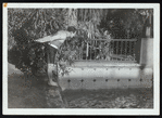 Harry Houdini about to dive into a pool at the Ralf M. Walker estate