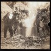 Josie's Coney Island Nightmare (cinema 1914)