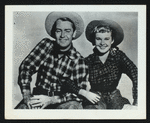 Alan Ladd