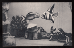 Lanchester Marionettes