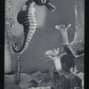 Lanchester Marionettes